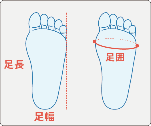 足長・足囲・足幅